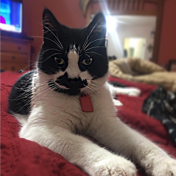 Meet your Posher, Bethany - Picture 6 of 9